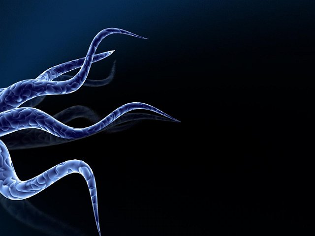 Cool - 3D Effects Wallpapers - 1.1 Wallpaper 1600x1200